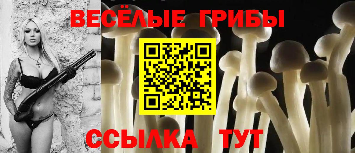 Галлюциногенные грибы Psilocybine cubensis  Вход с VPN  где продают наркотики  Псилоцибиновые грибы Cubensis  Щёлково 