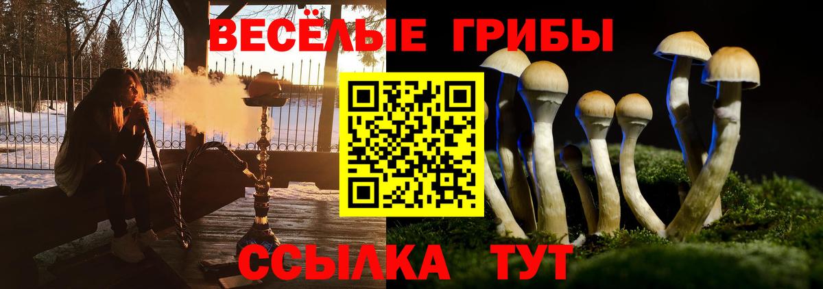 Псилоцибиновые грибы Psilocybe Щёлково